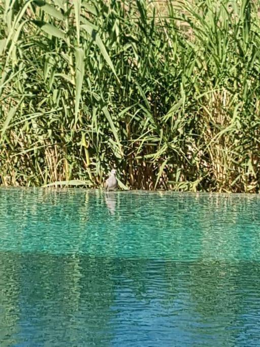 Le Figuier Du Lac Bin Elouidane Exterior foto